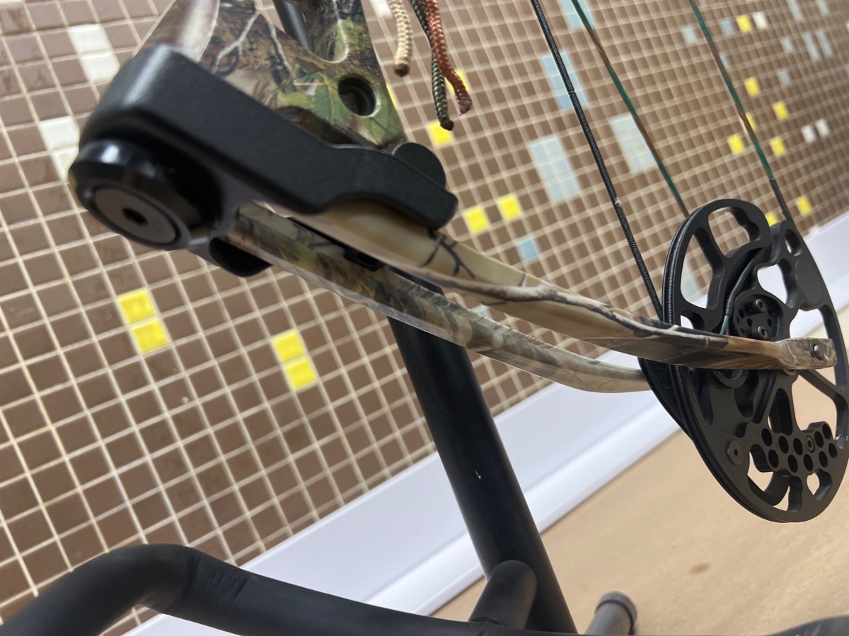 BEAR ARCHERY Bow ENCOUNTER compound bow w/ trophy ridge site Very Good