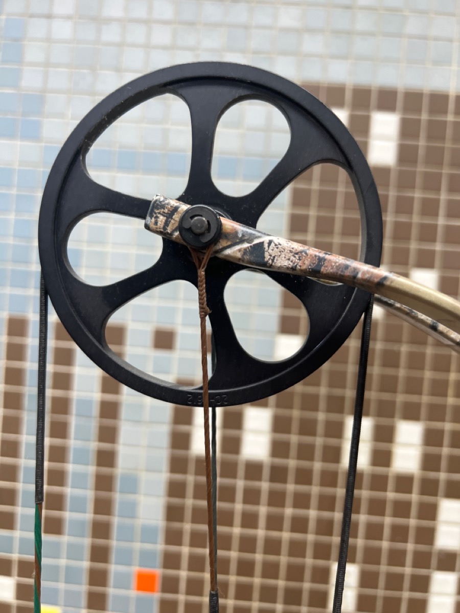 BEAR ARCHERY Bow ENCOUNTER compound bow w/ trophy ridge site Very Good