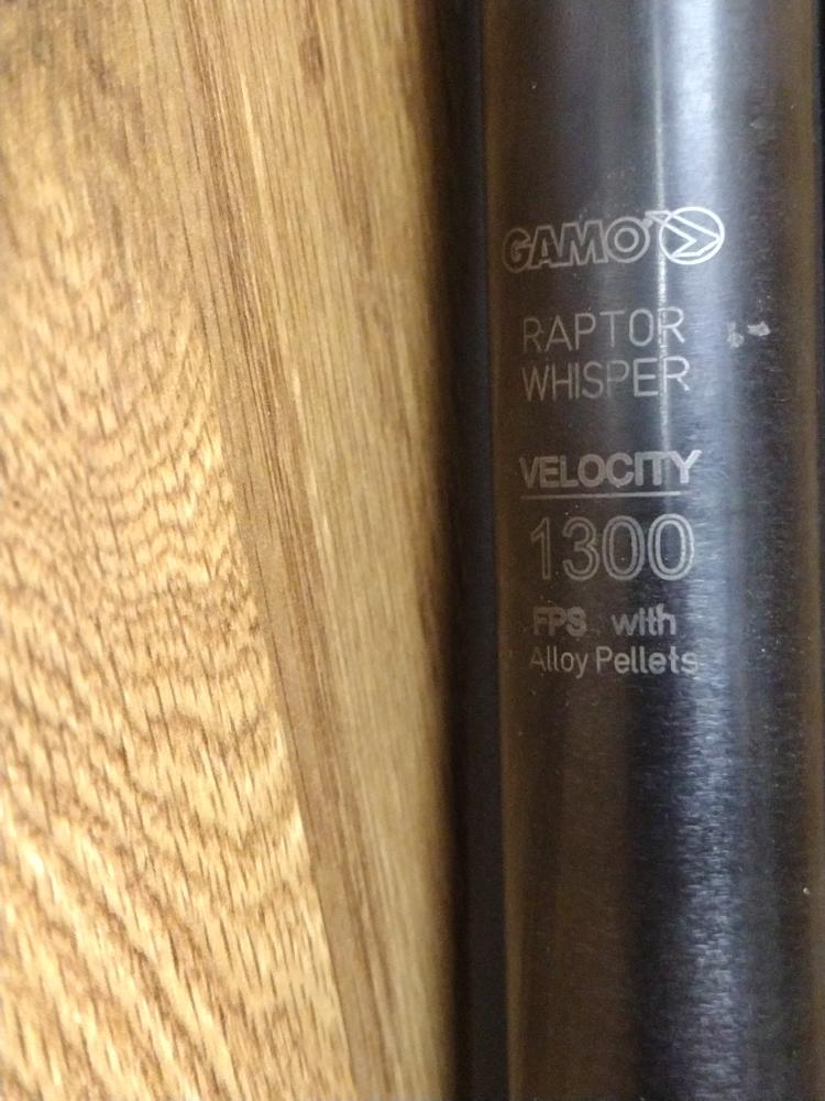 GAMO PRECISION air rifle RAPTOR WHISPER Acceptable Used Guns