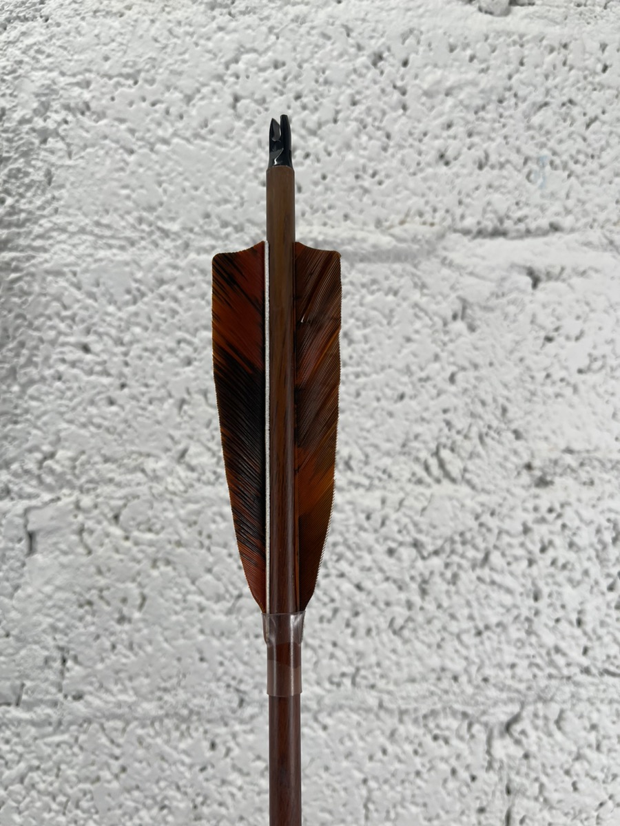 SAMICK GALAXY SAGE TAKEDOWN RECURVE BOW IN CASE WITH ARROWS 62" 40